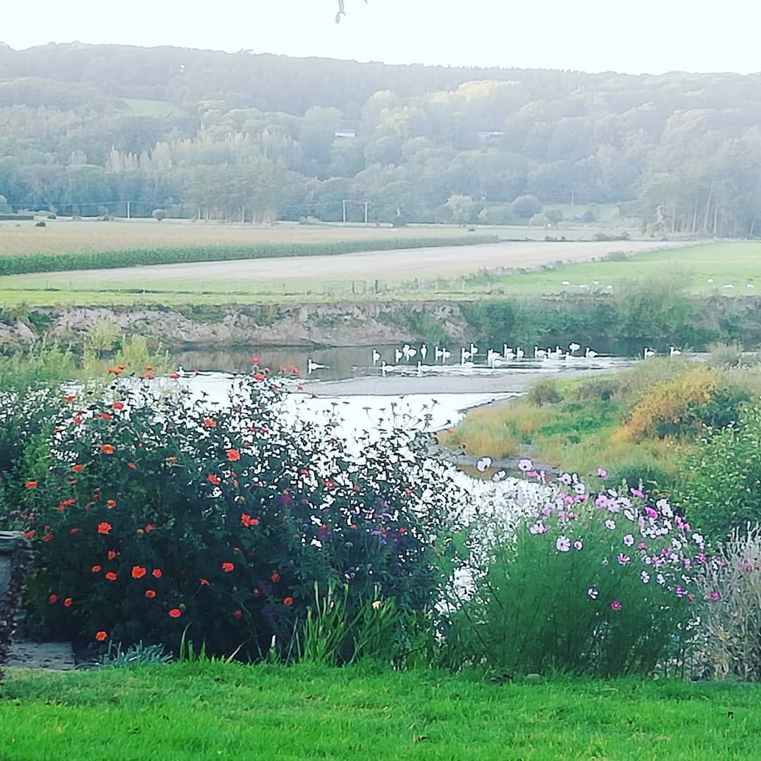 The garden and river in autumn