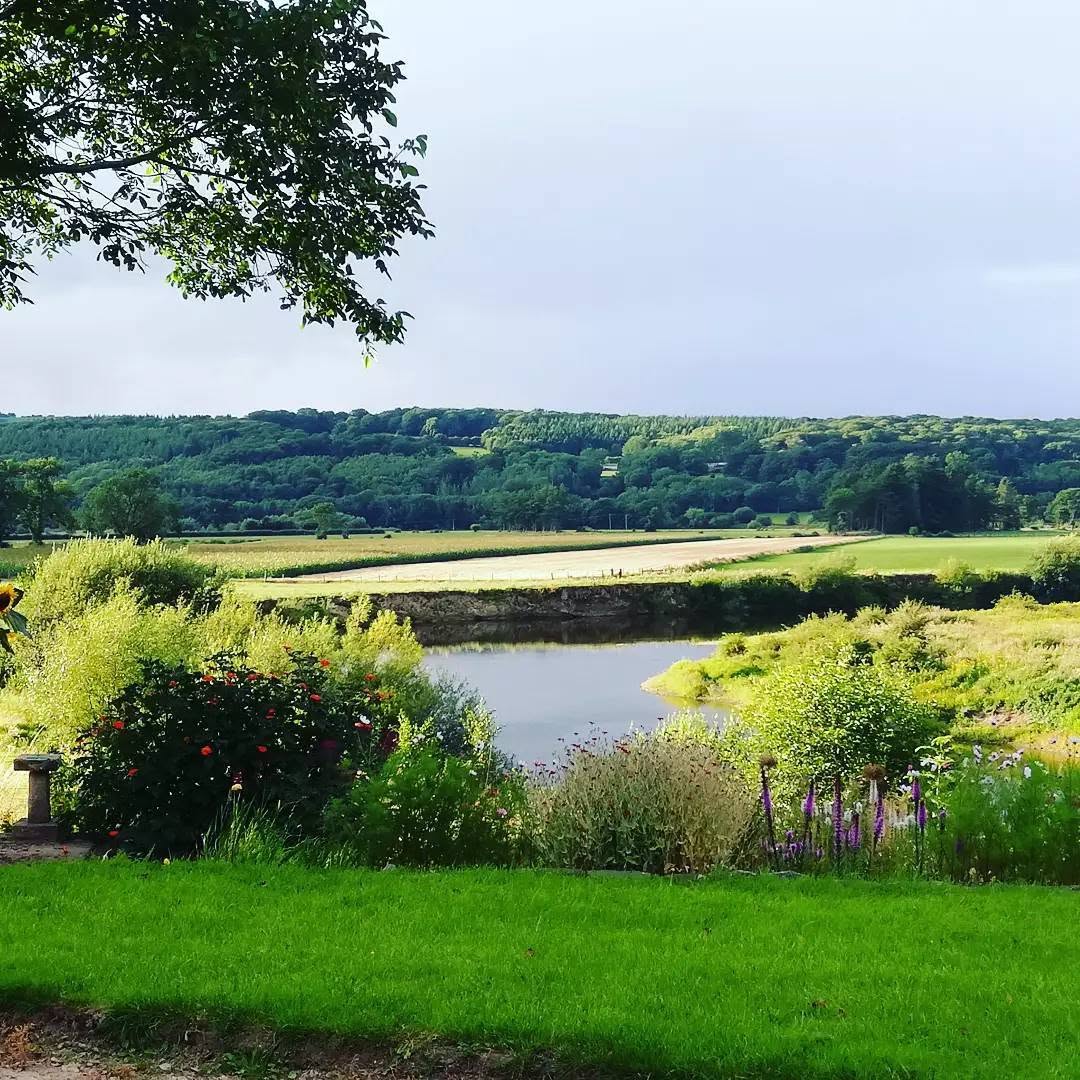 The view across the meadow towards the river