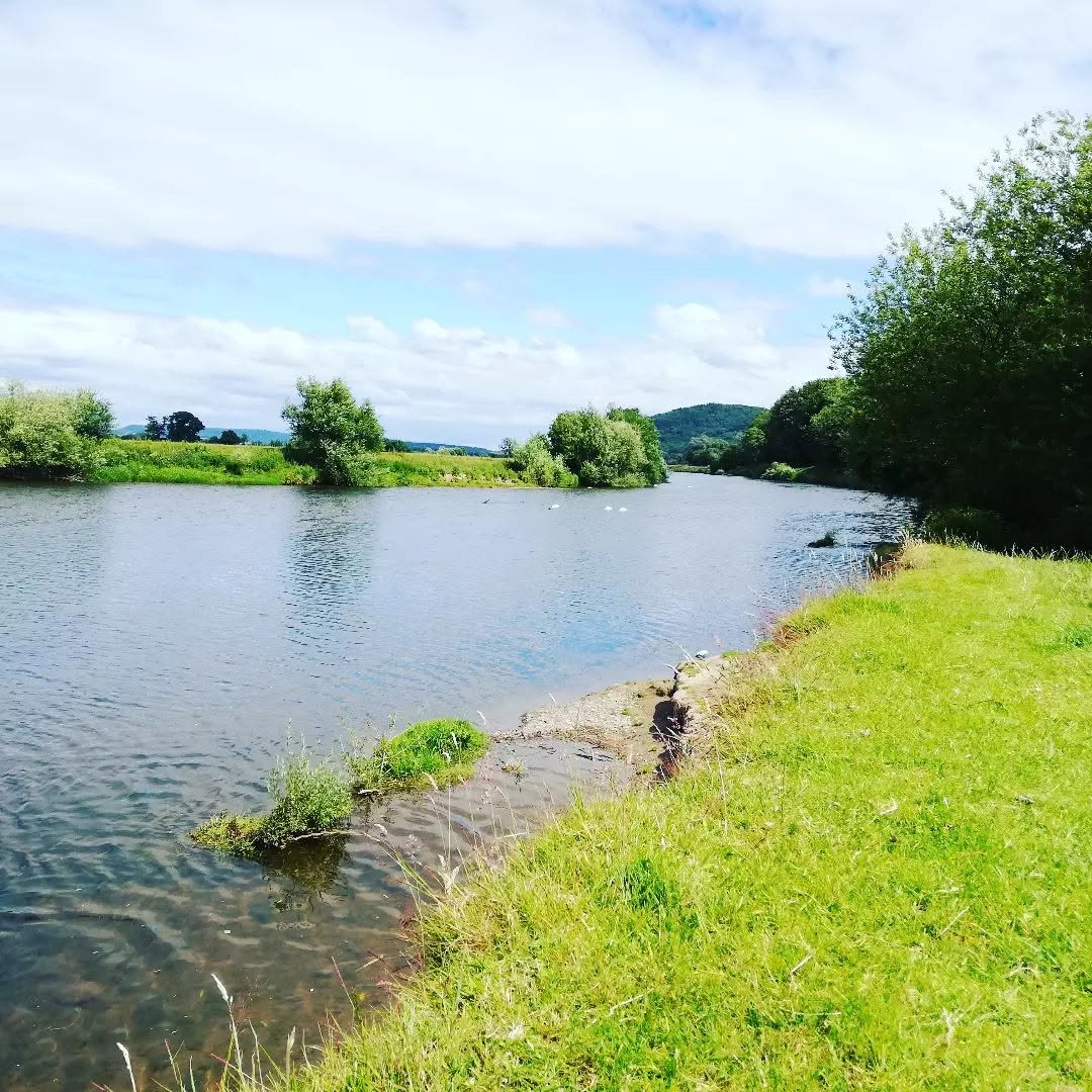 The Wye seen from the camping meadow