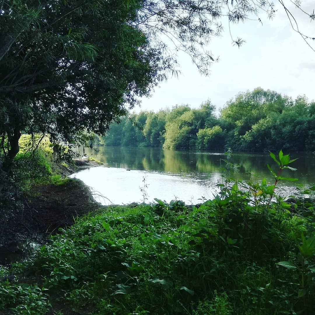Shaded riverbank at Locksters Pool